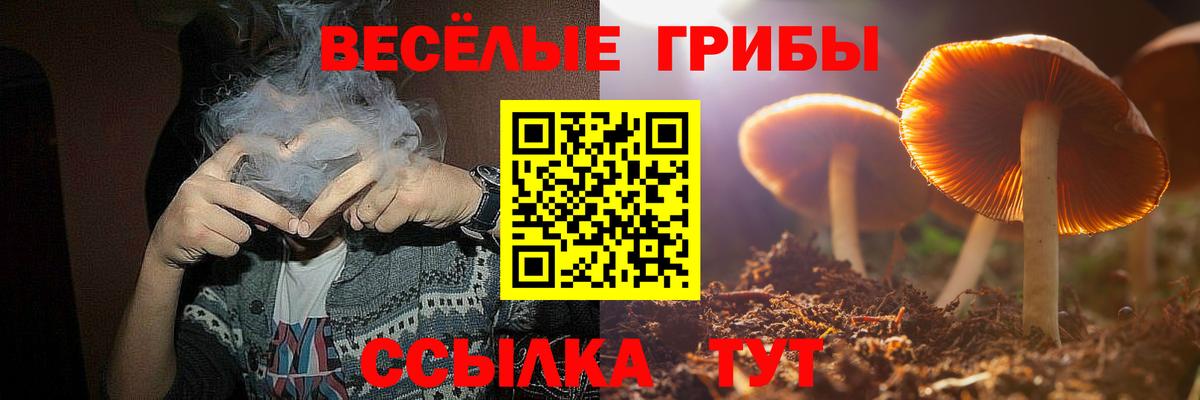 Галлюциногенные грибы GOLDEN TEACHER  Вход с VPN  купить наркотики цена  Прохладный  Галлюциногенные грибы GOLDEN TEACHER 